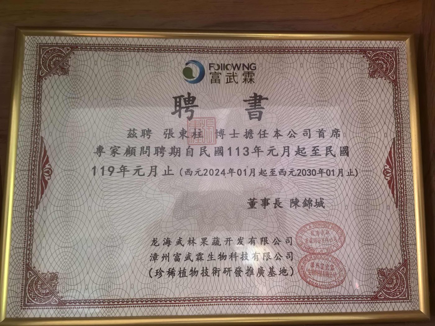 首席专家聘书