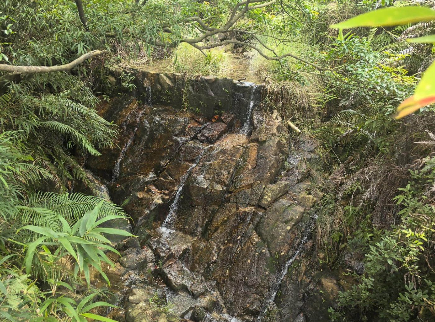 好山 · 生态屏障