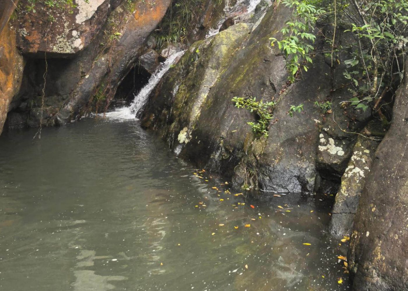 好水 · 原生态山泉水